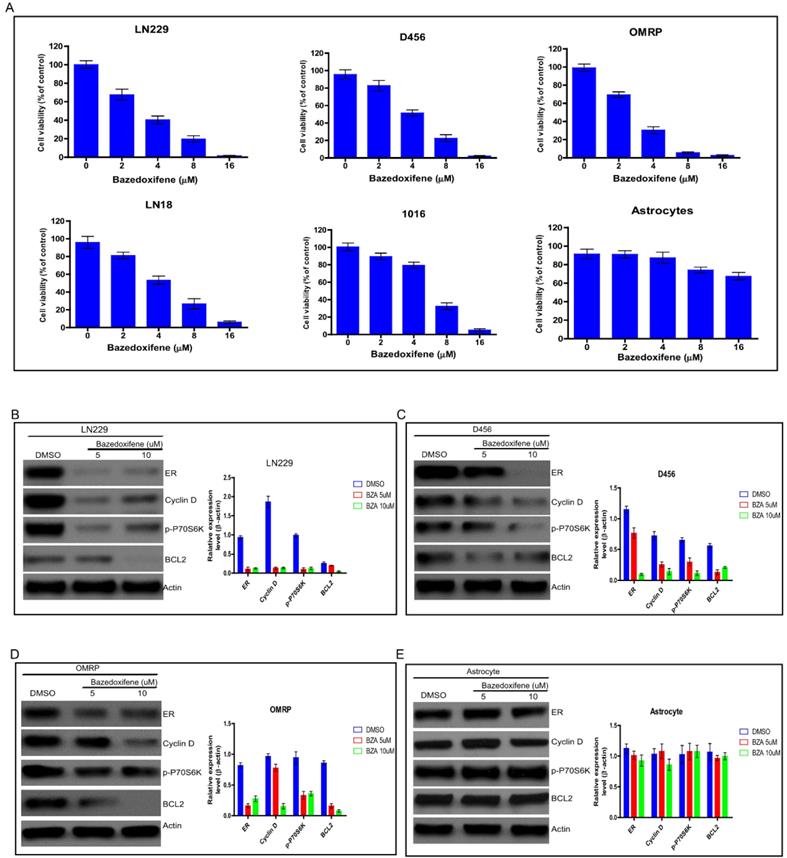 J Cancer Image