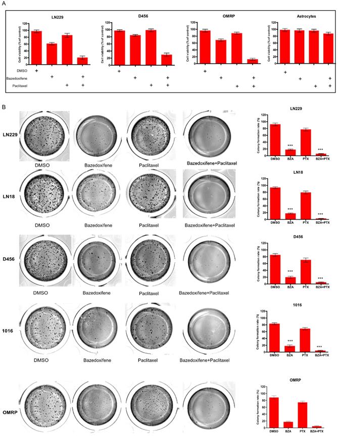 J Cancer Image