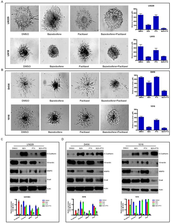 J Cancer Image