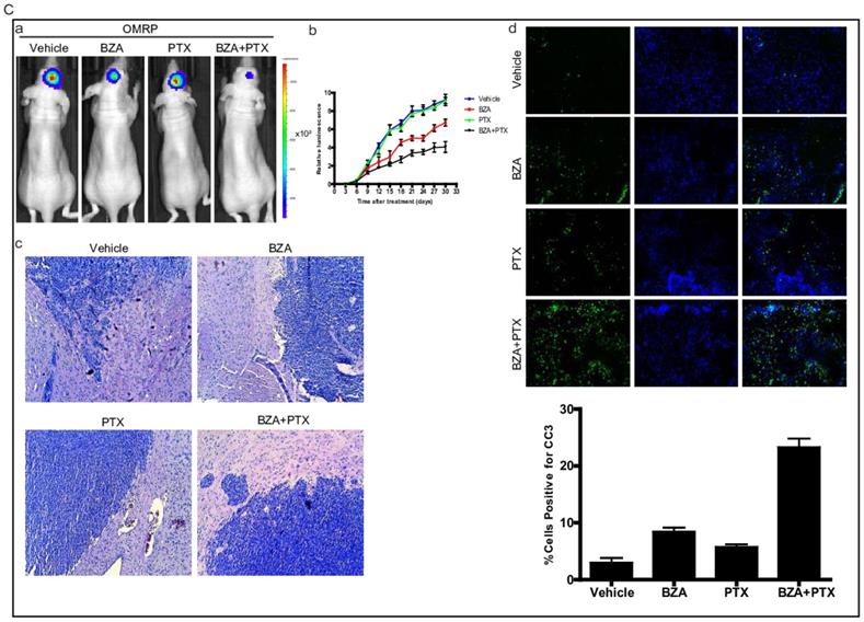 J Cancer Image