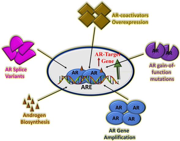 J Cancer Image