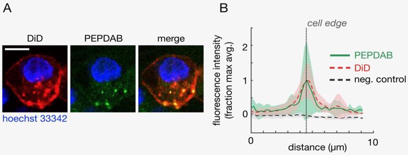 J Cancer Image