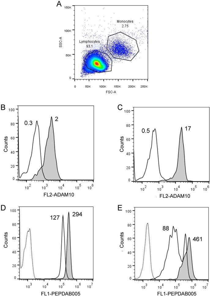 J Cancer Image