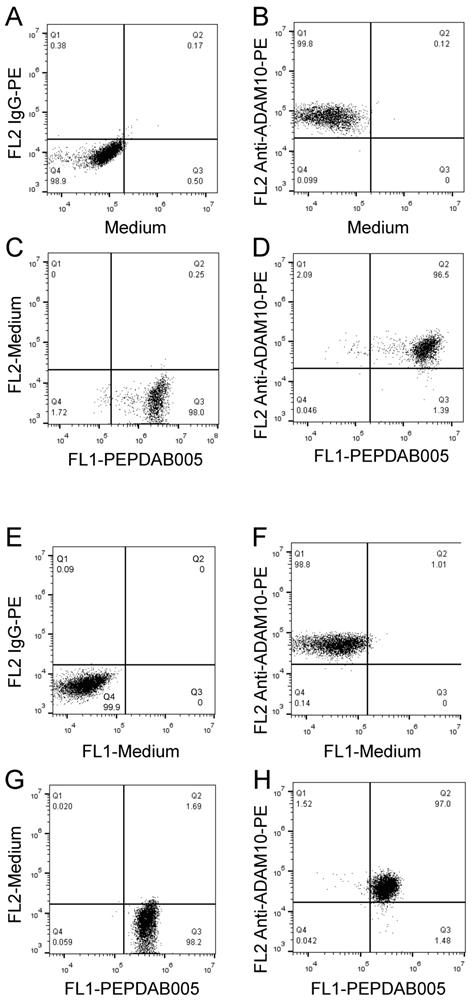 J Cancer Image