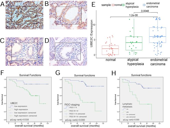 J Cancer Image