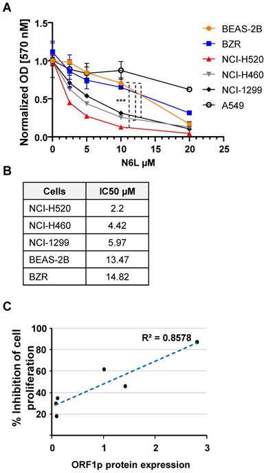 J Cancer Image