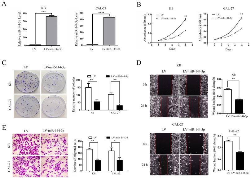 J Cancer Image