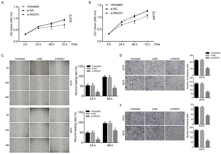 J Cancer Image