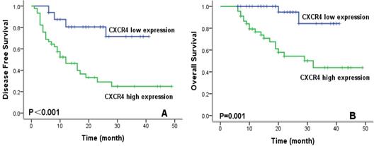 J Cancer Image