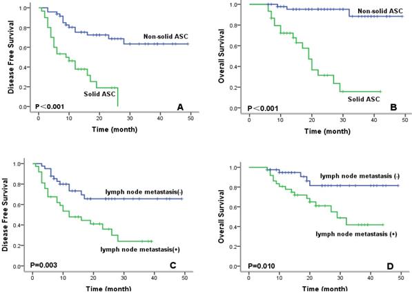 J Cancer Image