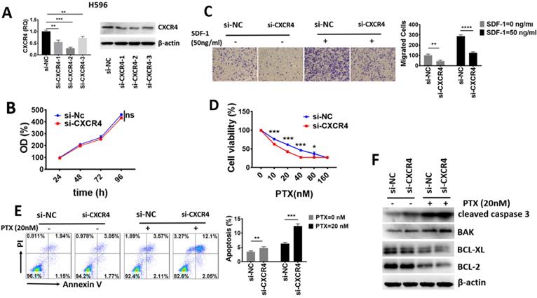 J Cancer Image