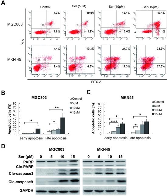 J Cancer Image