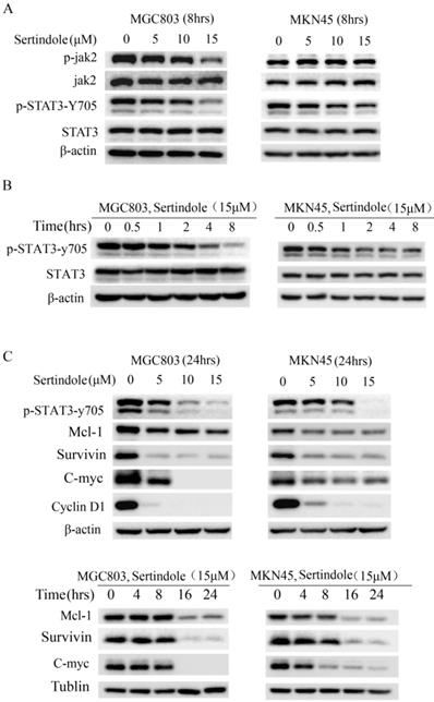 J Cancer Image