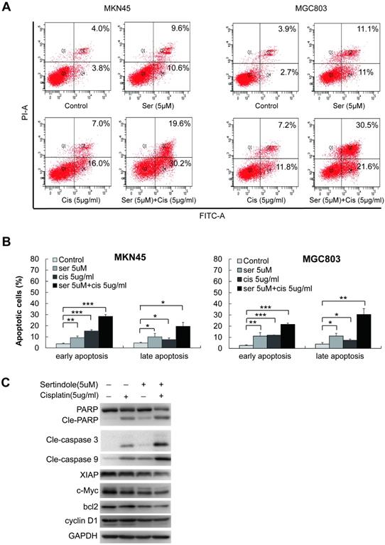 J Cancer Image