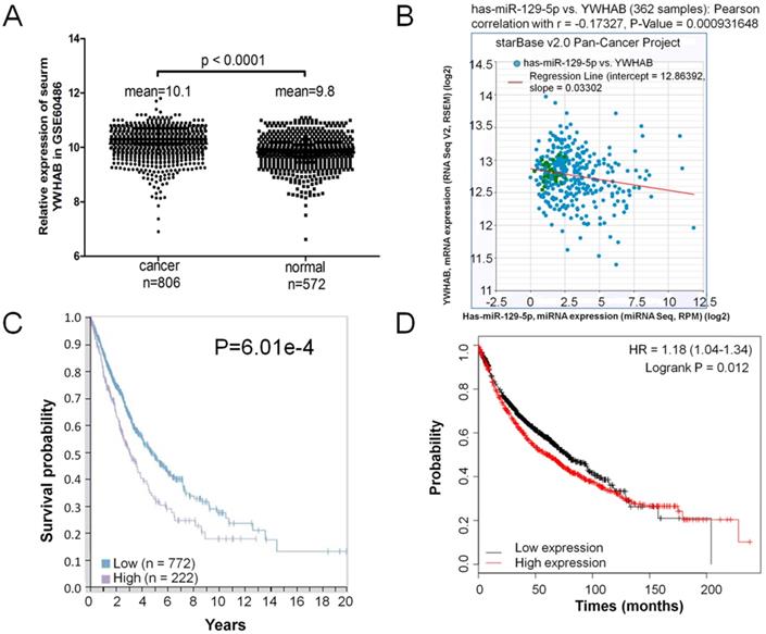 J Cancer Image