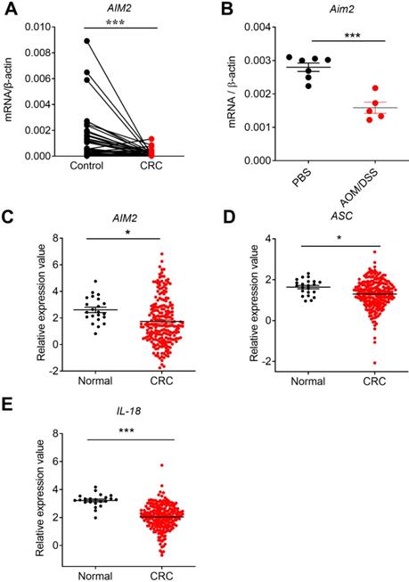 J Cancer Image