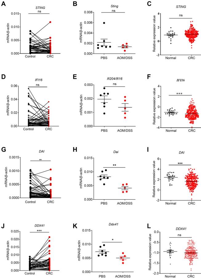 J Cancer Image