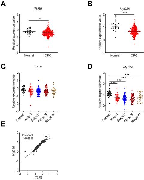 J Cancer Image