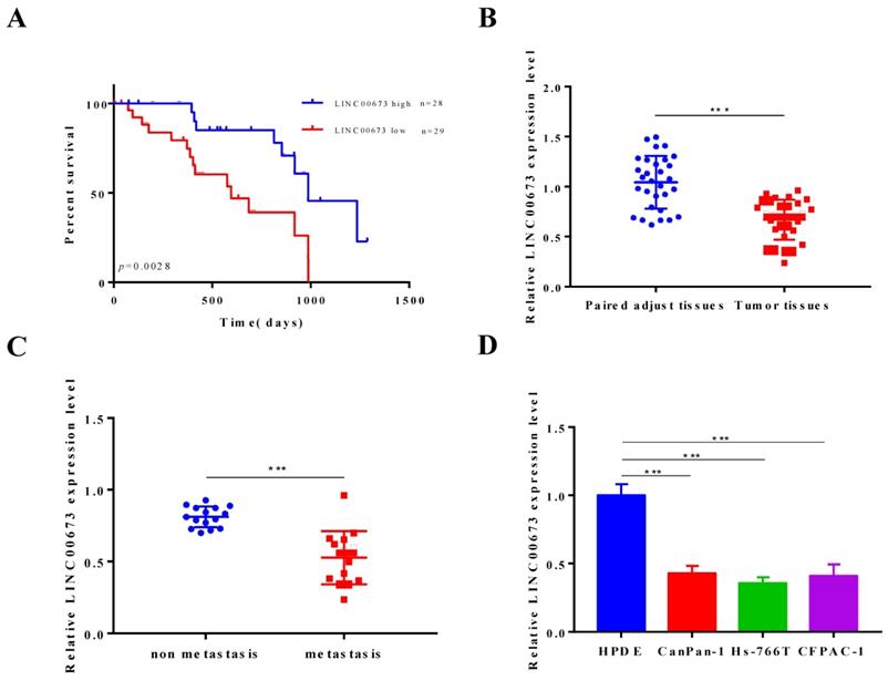 J Cancer Image