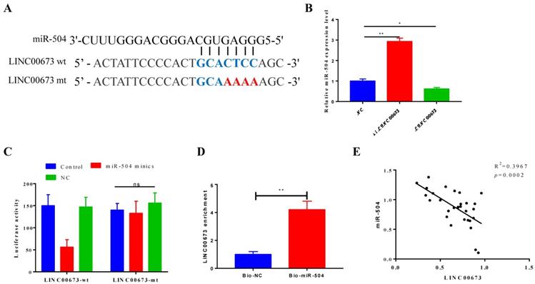 J Cancer Image