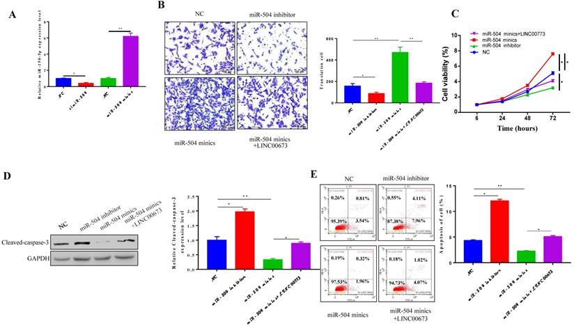 J Cancer Image