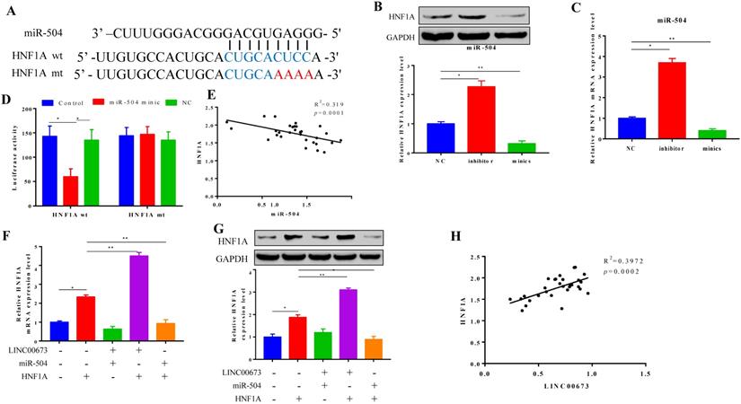 J Cancer Image