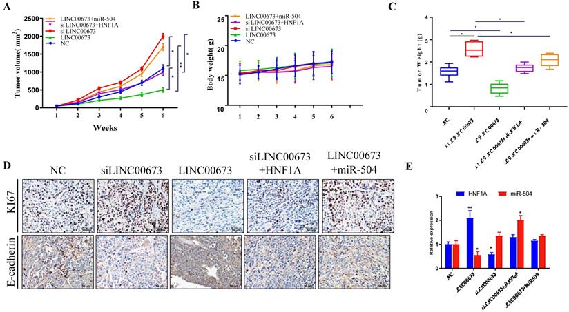 J Cancer Image