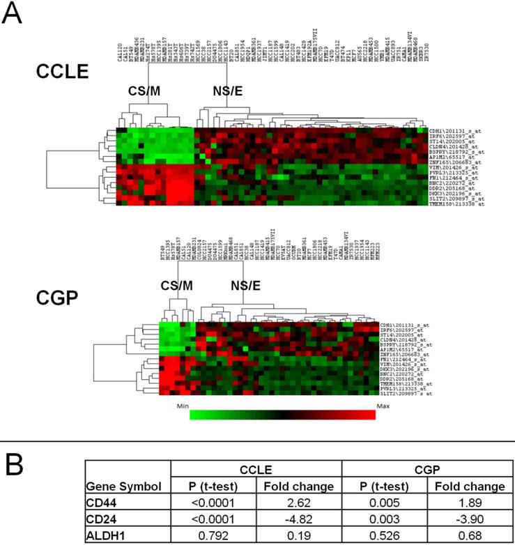 J Cancer Image