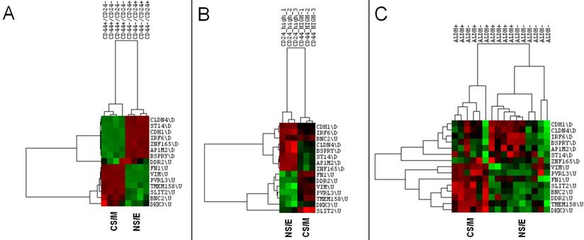 J Cancer Image