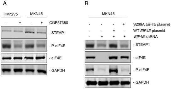 J Cancer Image