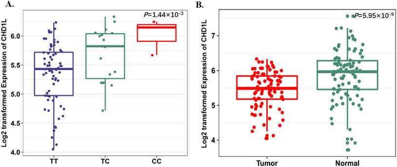 J Cancer Image