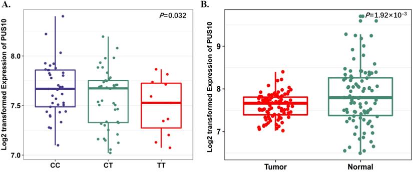 J Cancer Image