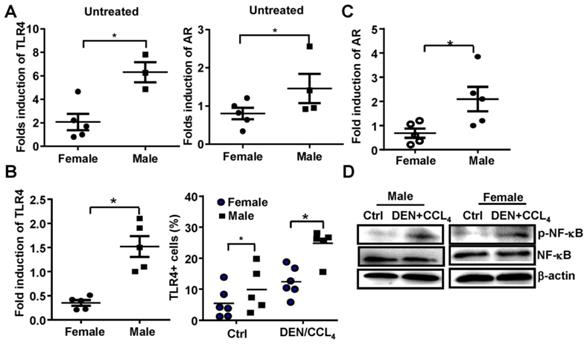 J Cancer Image