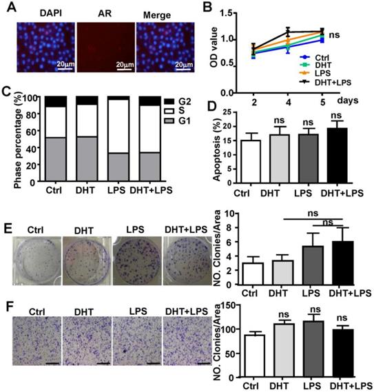 J Cancer Image