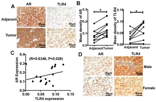 J Cancer Image