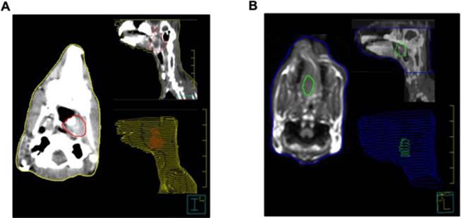 J Cancer Image