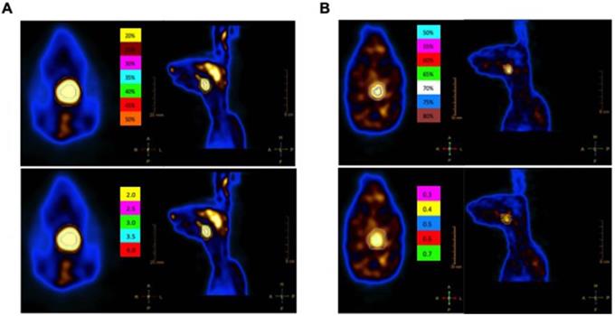 J Cancer Image