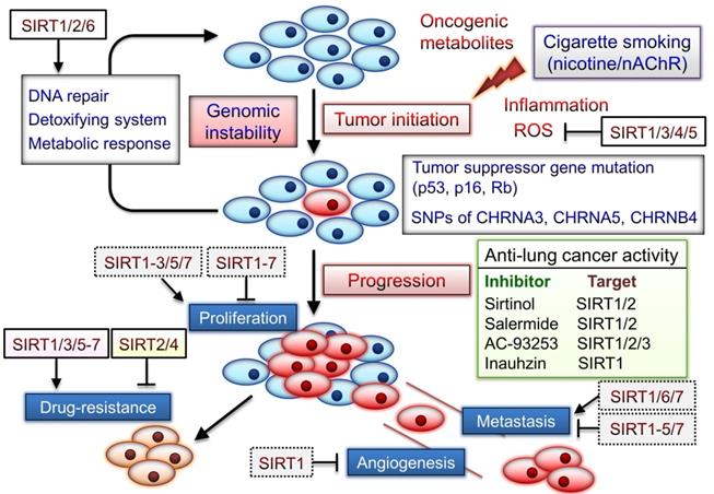 J Cancer Image