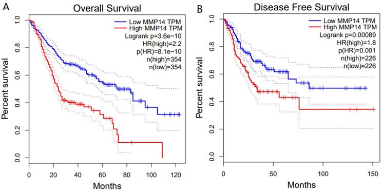 J Cancer Image