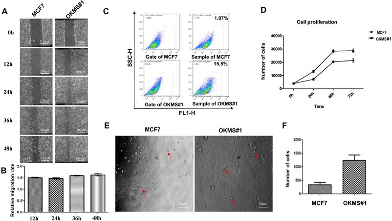 J Cancer Image