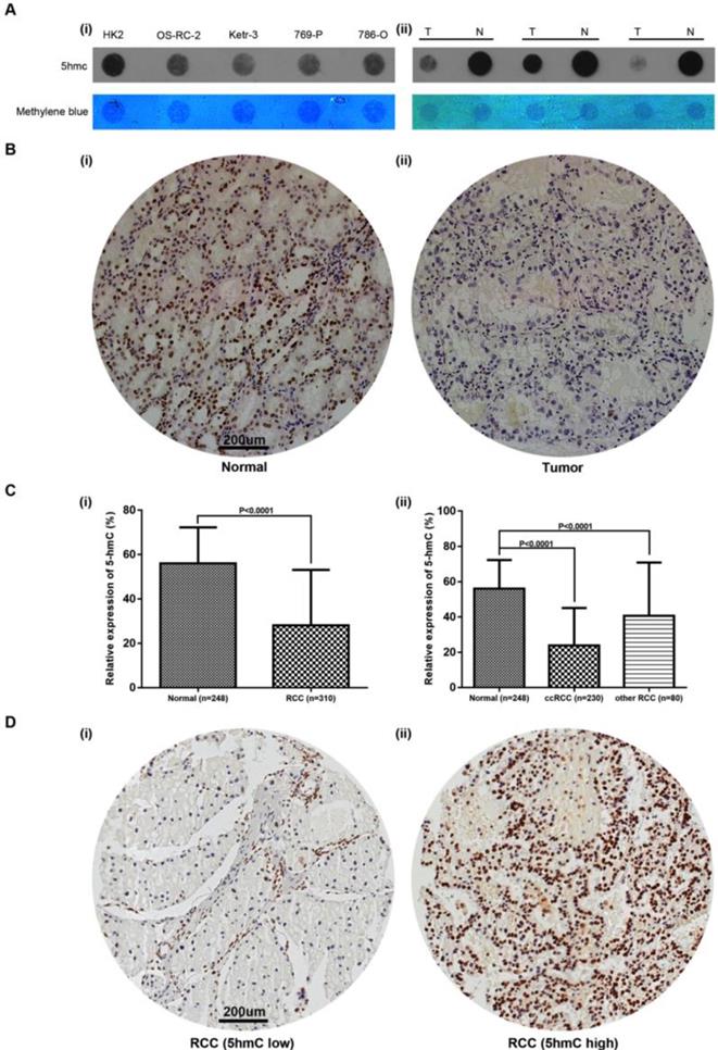 J Cancer Image