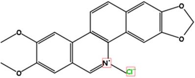 J Cancer Image