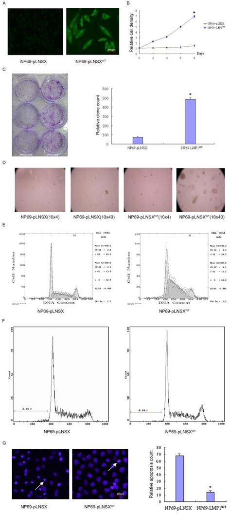 J Cancer Image