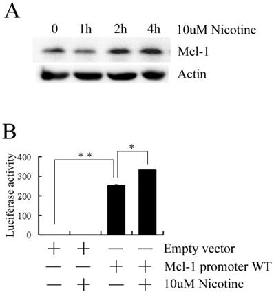 J Cancer Image