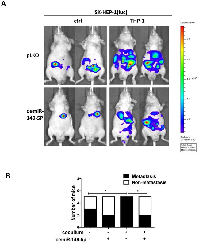 J Cancer Image