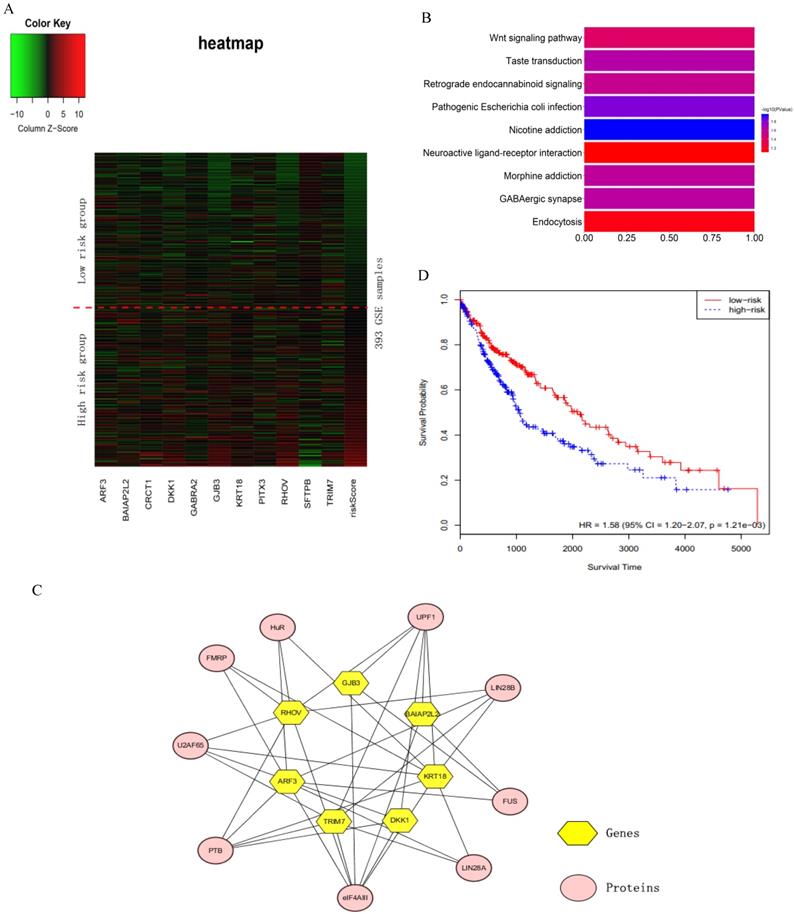 J Cancer Image