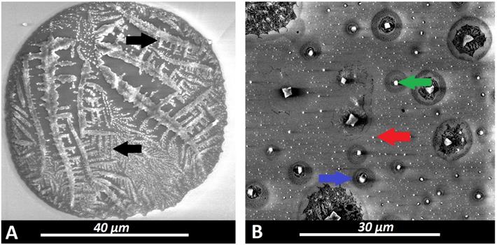 J Cancer Image