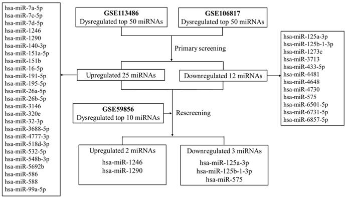 J Cancer Image