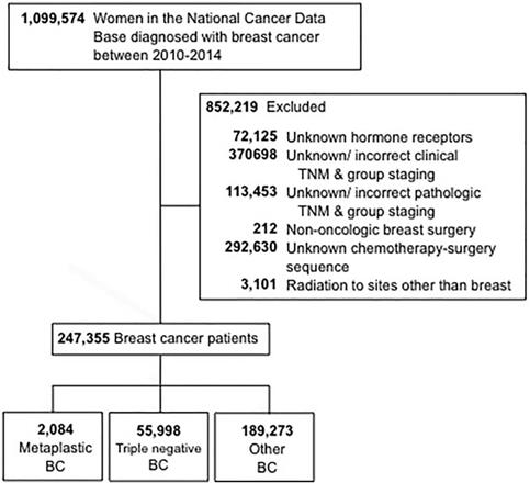 J Cancer Image