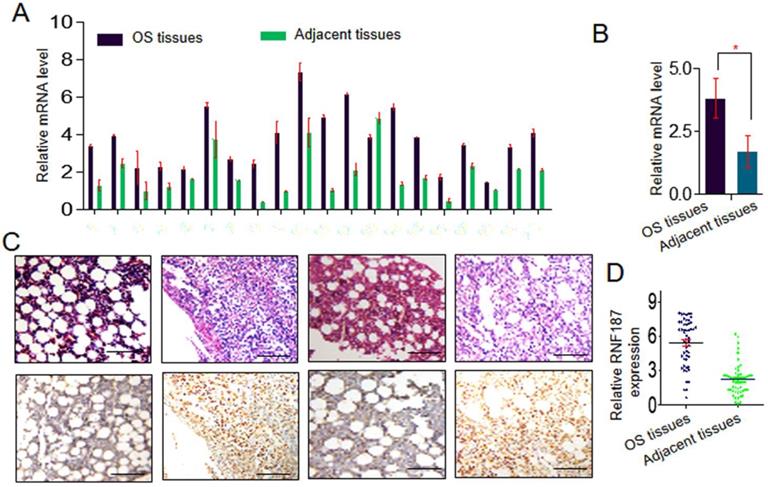 J Cancer Image